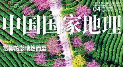 福建有个比无量山大20倍的樱花园，堪称世界之最，现在正颜值巅峰