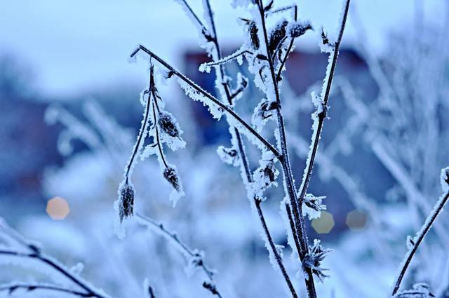 苏轼诗词里的冬天，有喜有悲，写尽人生百味