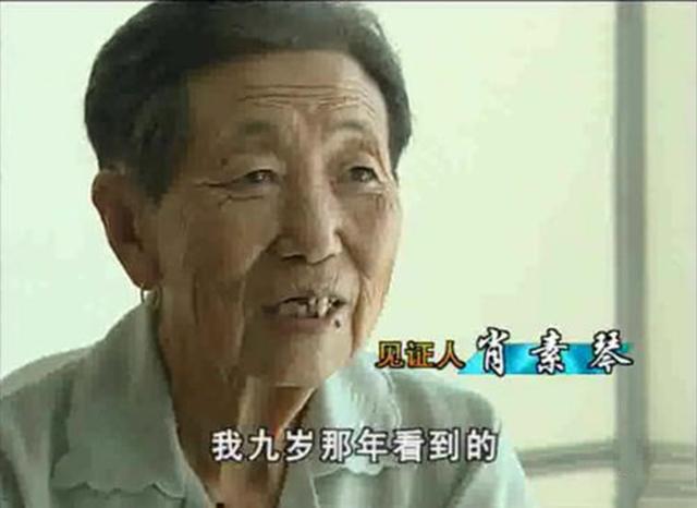 “真龙”现身？当年营口坠龙，人证物证具在，为何专家推翻论据