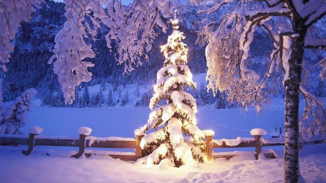 「诗词鉴赏」古诗词里的雪夜，犹如童话世界，美得不像话