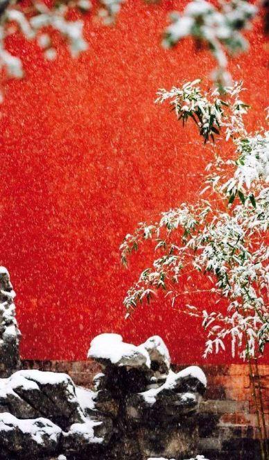 「诗词鉴赏」冬日，在古诗词中看雪，等一场飘雪，念一人安暖