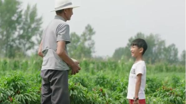 《过昭关》：一部耐人寻味的公路片，讲述了这三个主题