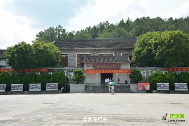 福建有个比无量山大20倍的樱花园，堪称世界之最，现在正颜值巅峰