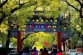北京国子监为何种有很多槐树？隐含了怎样的奥妙？