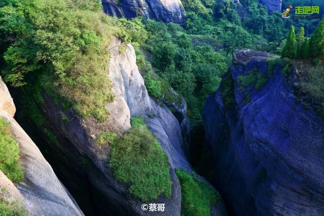 福建有个比无量山大20倍的樱花园，堪称世界之最，现在正颜值巅峰