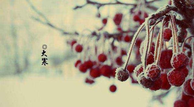 「诗词鉴赏」古诗词里的大寒，品味那些藏在古诗词中的冬寒之美