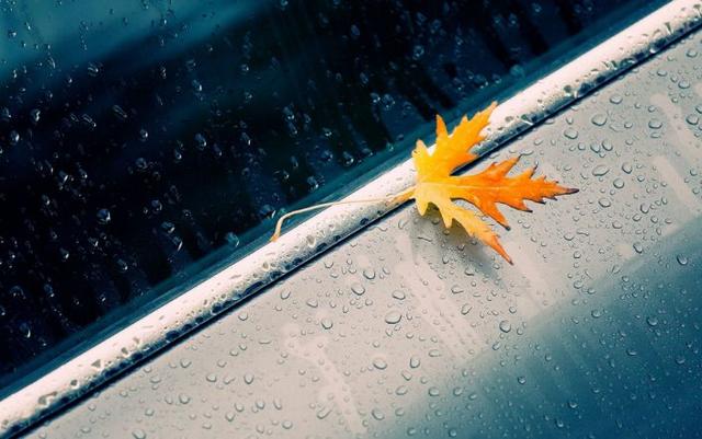 「诗词鉴赏」在万物都歇去芳华的冬日，听冬天的雨，读冬雨的诗