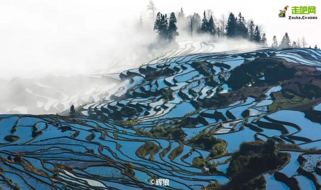 春节将至，该带家人去哪儿玩呢？赶紧来看看，有你想要的