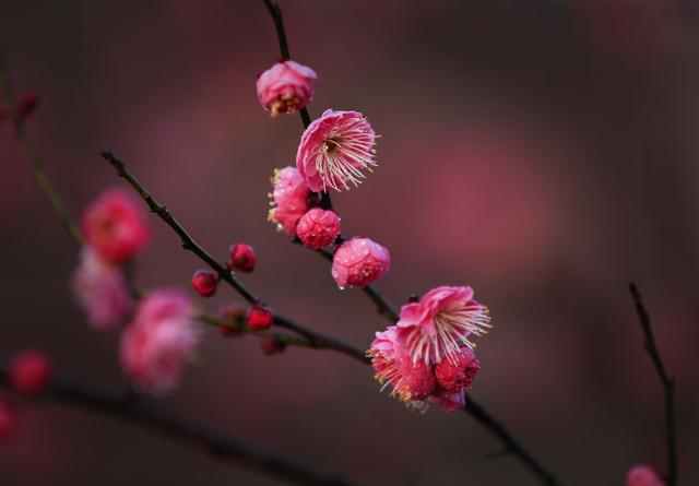 2019，是天青色等的一场烟雨