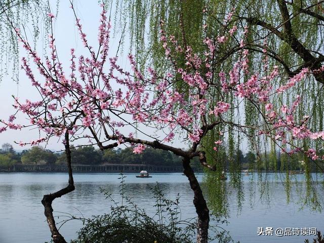 戴复古很孤独的一首诗，荒芜的村庄即使是有美景，那也是无人欣赏