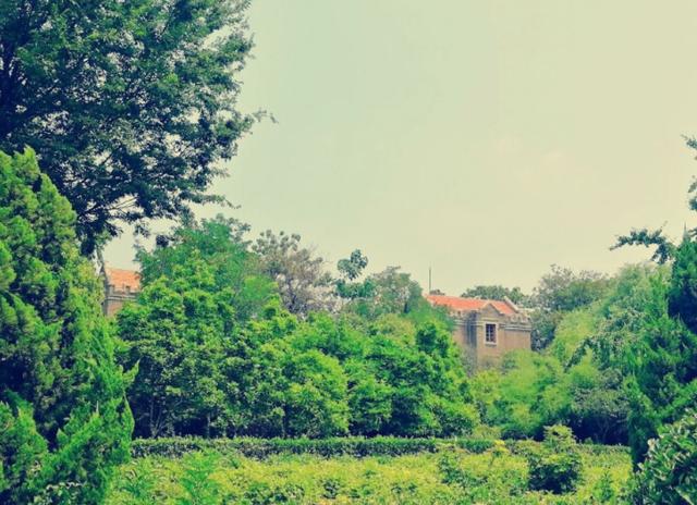河南最美大学，拥有百年古建筑群，堪称国宝级遗址