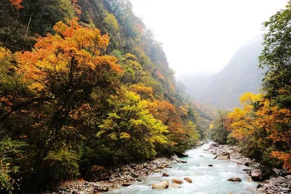 川西有哪“三绝”？美景、美食、美人！最原始动人风光正向你招手