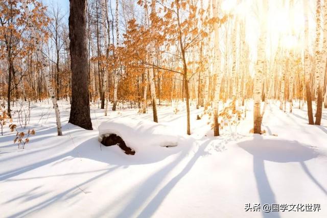 八首清雅的冬日雪诗，哪一首暖了你的寒冬呢？