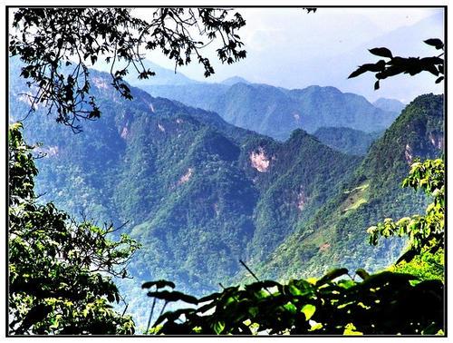 青城山只有美景，没有白素贞