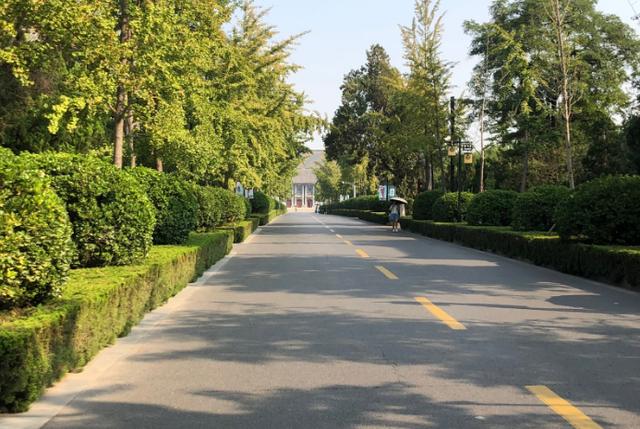 河南最美大学，学生在古代建筑里生活，景色优美成了热门景点