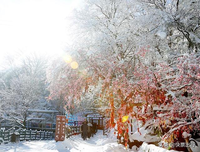 看雾凇何须去东北，雪后老君山，你知道有多美吗？