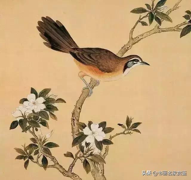 清宫藏顶级花鸟谱，如今一部分在台湾，一部分依然珍藏在北京故宫