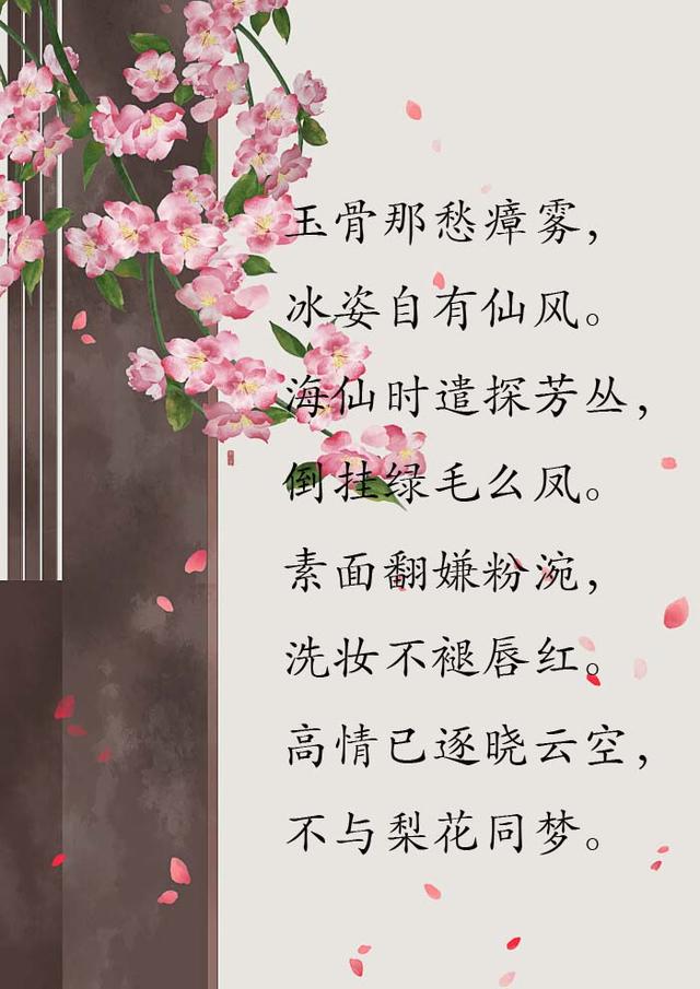 苏轼很冷门的一首悼亡词，无一“梅”字，却被誉为古今梅词第一