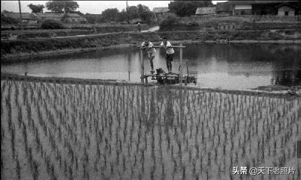1942年江西赣州老照片，赣南新政之下的赣州风貌
