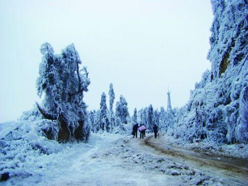 故乡落雪的时候，我在桥头