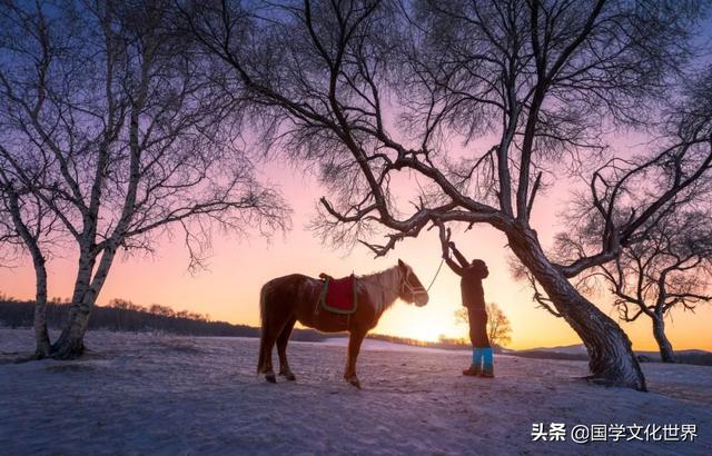 八首清雅的冬日雪诗，哪一首暖了你的寒冬呢？