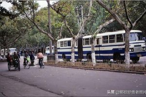 一组1984年的江苏南京老照片，有没有勾起你的回忆？