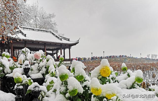 一到杭州，就赶上了大雪，拿手机拍西湖也能美爆了