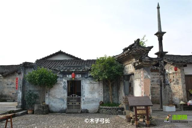 福建有个比无量山大20倍的樱花园，堪称世界之最，现在正颜值巅峰