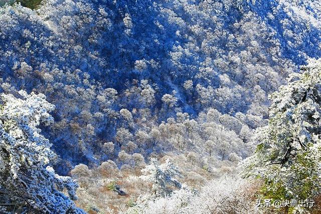 看雾凇何须去东北，雪后老君山，你知道有多美吗？