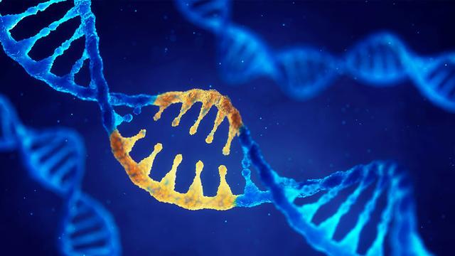 改造2个基因，延长5倍寿命！科学家：能否用于人类还有待观察