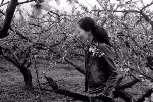 诗歌｜西安女诗人李寰遇，混乱的图案在四片桃花上 把夜揉成粉末
