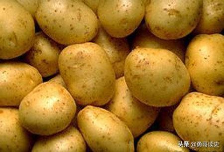 因为小小的土豆，一个欧洲岛国饿死了一百万人