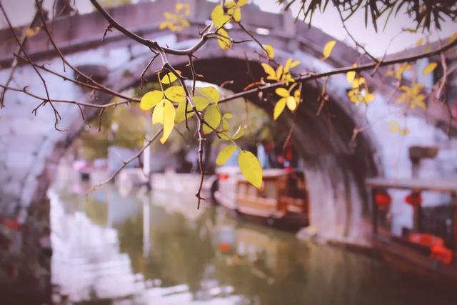 三月烟雨，美景好图带你游江南