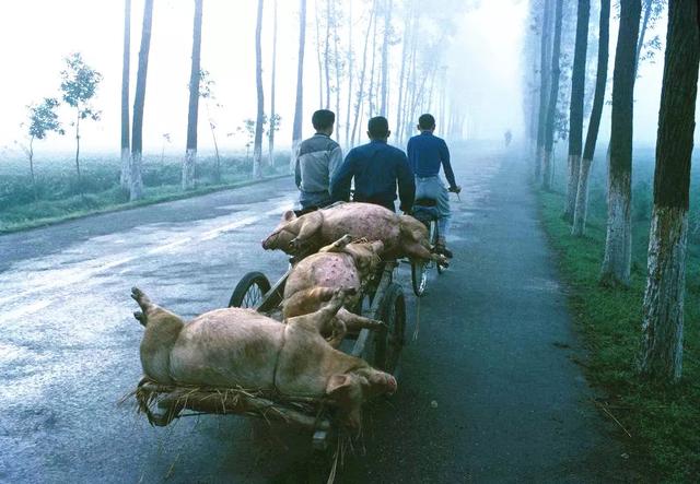 1981年中国老照片：没想到30多年前的人们是这样子的