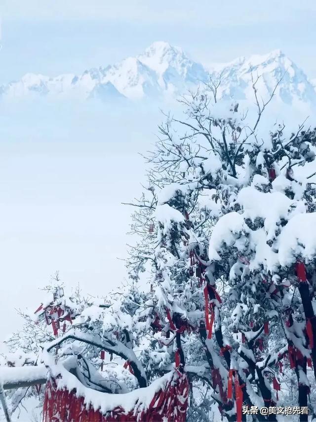 时间煮雨，终是凉了过往