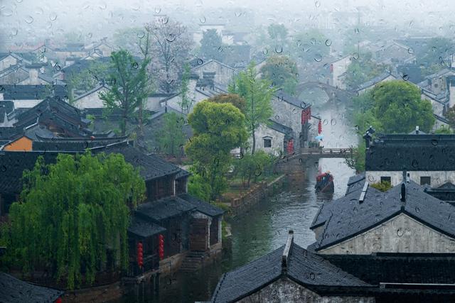 春雨品诗：春雨满江城，汀洲春水生