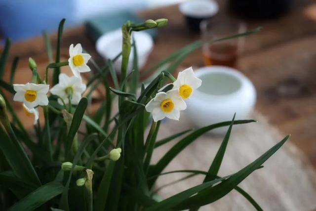 山无历日，数红记白为日期，应识花名