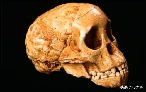 这一”史前文明“的发现，或将推翻”古猿进化“？