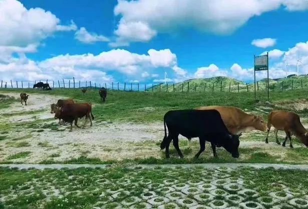 9个私藏于桂林的小众风景地，你知道几个？