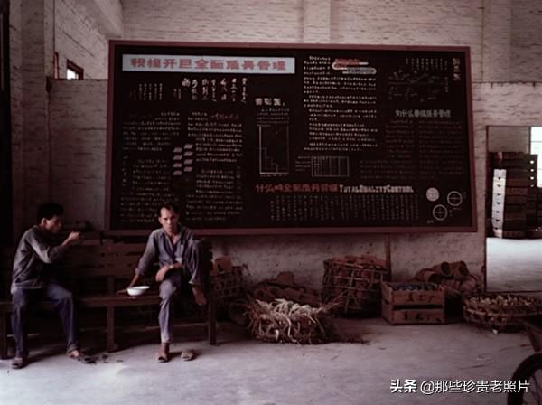 一组80年代的广州老照片，你认得这些地方是哪里吗？