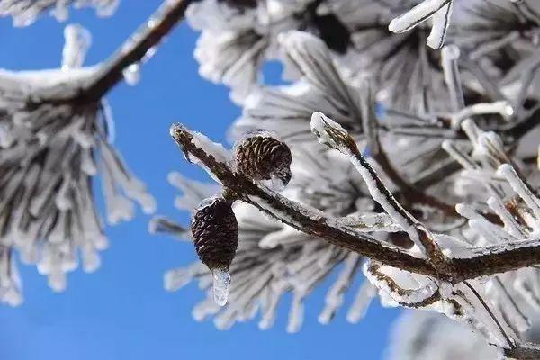 攻略 | 浙江冬日“赏雪”地图已出炉，就等南方的大雪纷飞啦