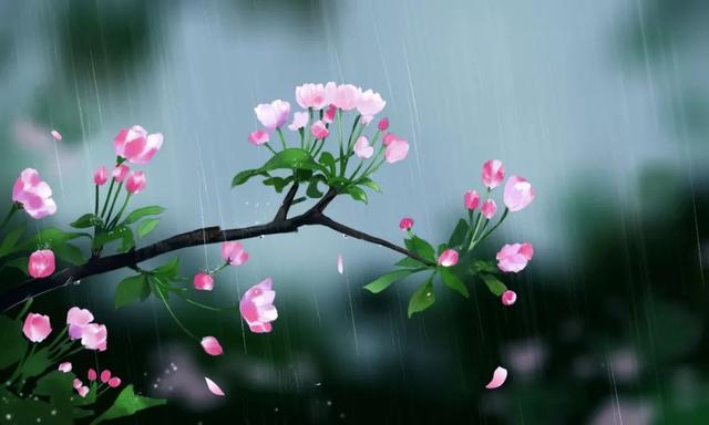 今日雨水丨渴求一场春雨，洗净人间污浊