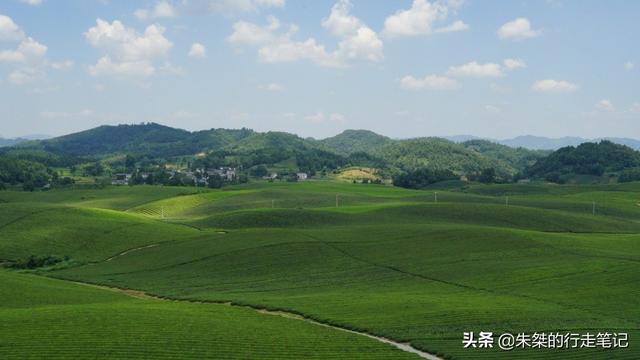 贵州高原上的一颗明珠 被誉为“云贵小江南”堪称贵州茶业第一县