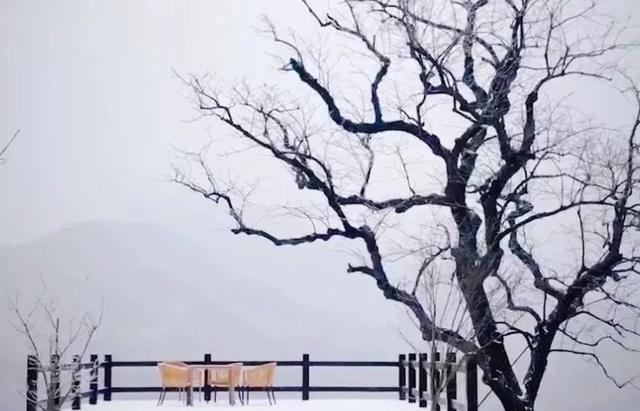 看雪攻略｜浙江这个小众古村一夜大雪，瞬间带你穿越至远古唐朝