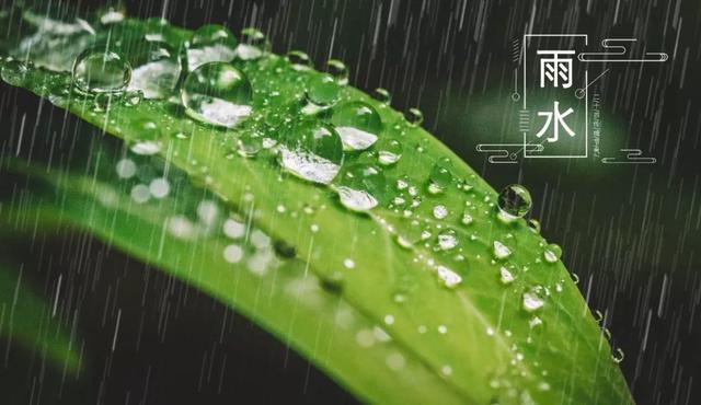 今日雨水丨渴求一场春雨，洗净人间污浊