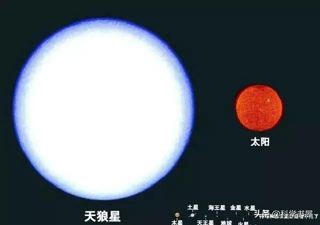 多贡人的天文知识来自天狼星人？