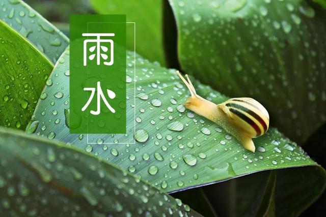 今日雨水丨渴求一场春雨，洗净人间污浊