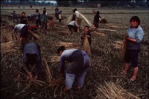 镜头下1980年的中国：有一共同的特征，图9如今很难再看到了