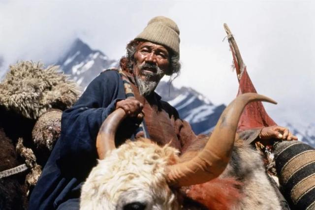 如果暂时不能去西藏，至少你还能看这11部电影