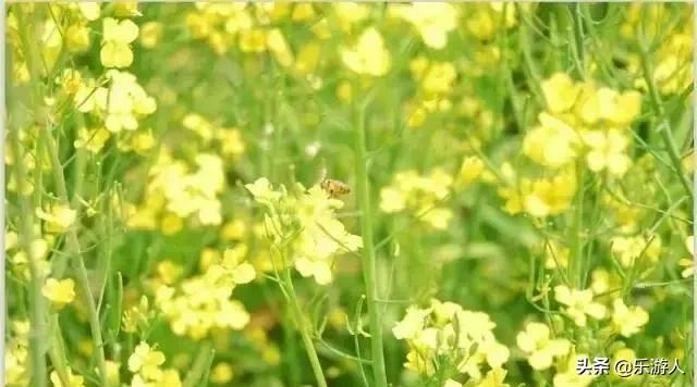 认识桂林，从"桂林山水甲天下"开始